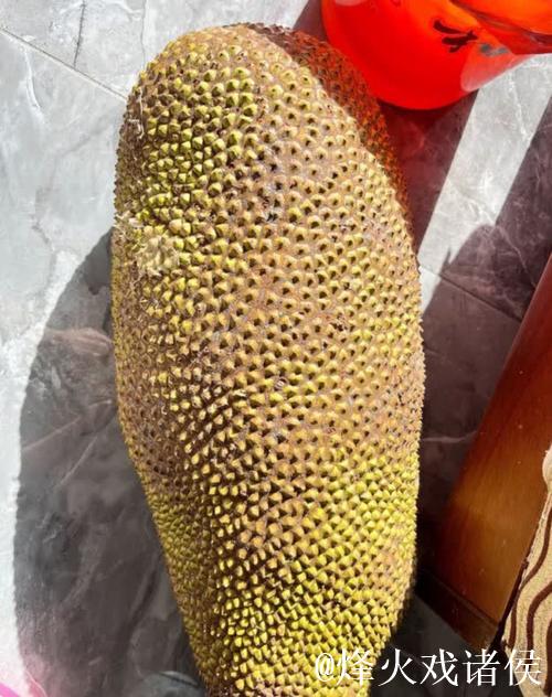 菠萝视频黄背后的真相与影响分析