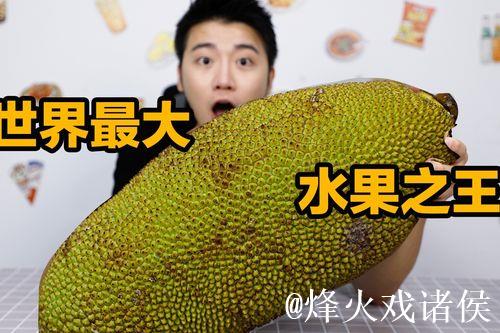 菠萝蜜直播视频解析与精彩瞬间